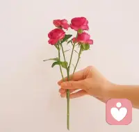 时间最会骗人，但也能让你明白，这个世界没有什么不能失去的，离去的都是风景，留下的才是人生，走到最后的，就是对的人。