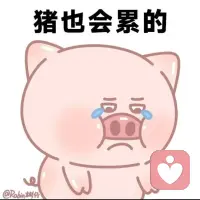 不知道怎么办，就先把今天过好。
天大的事，熬到晚上睡一觉，明天再说。