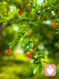 人生最好的状态：眼里写满故事，脸上不见风霜，心里藏着平静。