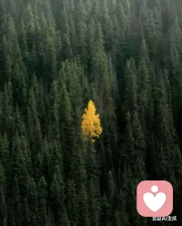 对于你来说，你就是人群中最独特的存在，所以只有你好起来，周围的一切也会跟着好起来！好好爱自己，加油配图