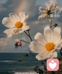 爱自己的七层：1.身体安顿 2.精神丰盈 3.自我接纳 4.情绪允许 5.伤口拥抱 6.内在和解 7.自然利他。次序即真理—很多人在第二层拼命，其实是逃避第三层的接纳。最触动的是：最好的爱不是牺牲，而是溢出，当你自己这只杯子注满，爱才会自然流向他人。配图