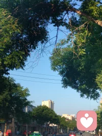 每个人都是青蛙 ，只是在不一样的井底 ，看着不同的天。每个人都有自己的认知局限！配图