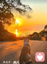 允许自己没想法，没热情，没动力，丧丧的，总会有那样短暂的时光……配图