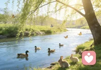 春水初生，柳丝新绿。
万物在阳光下慢慢苏醒，
鸭子在河里游过，兔子在草丛里安家。
春天把所有的温柔和生机，
都悄悄塞进了你的生活里。
愿你如这春日光景，
向阳而生，自在生长。