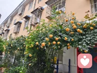 日子难免一地鸡毛、琐碎庸常。
不必困于眼前的疲惫与遗憾，
一半烟火谋生，一半诗意养心。
带着温柔与热爱，奔赴诗和远方。配图