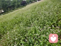 难得周末闲暇，一头扎进菜园花圃里
不问工作琐事，不理生活焦虑
看着绿植慢慢舒展，蔬果悄然生长
平凡日常，也藏着满满的松弛幸福感配图
