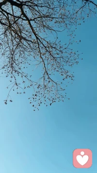 有些人不敢面对那孤寂的夜晚，而有一些人不敢面对的是那第一抹晨光配图