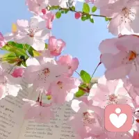 我们都有藏起来的疲惫、委屈和不安。
不用假装坚强，不用独自硬扛。
被理解，本身就是一种治愈。
我愿意接住你的情绪，陪你慢慢疗愈。配图