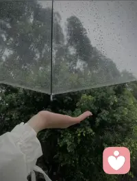 听雨是解压，看雨是消愁，雨能滋润万物，也可治愈人心！配图