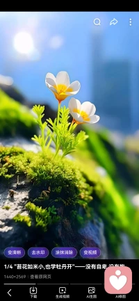 被爱才能绽放。
就像阳光之于花朵。配图