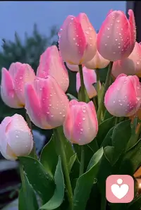 允许情绪流淌。配图