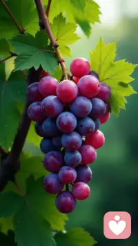 愿每个人都丰盛配图