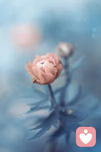 蓝色为什么显得忧郁配图