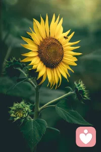 过多的思考会阻碍目标的实现配图