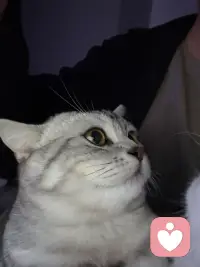 斯人若彩虹🌈遇见方知有。 所以…你还相信吗配图