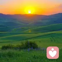 所有的指责背后，都有一句没说出口的，请看见我，理解我，认可我。
NPD往往会通过“扮演强者”来自我保护用自己付出更多，来明和对抗。
而强者反而是理解和包容的，是敢于率先放下武器的人。也是敢于立边界、立框架，也敢反击的人。

你必须要做强者，才能走出泥潭