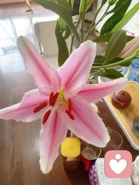 一个人只有先放松和平静下来。​才会有智慧，去应对生活的挑战，无论是工作，还是生活，或者自己跟自己的较劲和情绪。躺平不是啥也不干，而是看见更加辽阔的生命轮廓和规律，人会变得从容~