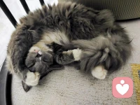 你是不是也常常：
白天假装开心，深夜独自崩溃；
明明很累，却不敢停下；
心里有太多委屈，却找不到人说。
别再逼自己懂事了。
心理咨询，不是脆弱，而是勇敢。
勇敢面对自己，勇敢拥抱情绪，勇敢重新出发。
从今天起，好好爱那个不完美但珍贵的自己。