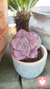 每个人都能看见不一样的世界，你真的很好配图