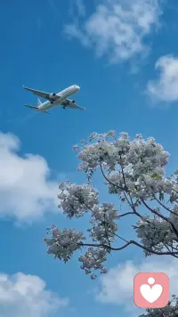 今天在尝试一种新的角色——倾听师。
不是扮演神秘，也不是扮演别人，而是想做一个真正能听你说话、稳稳接住你情绪的人。

有时候，人并不是需要别人给出答案，而是需要一个愿意听、愿意理解、不打断、不评判的角落。
你压了一天的事、你憋了很久的话、你心里那点堵，都可以在这里说出来。

我不教你该怎么做，我只是陪你一起理一理。
你不用坚强，也不用伪装。
你只需要把心里的东西，轻轻倒出来就好。

如果你愿意，我一直在。
#倾听师 #情绪治愈 #有人听你说话 #安心陪伴