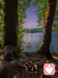 你有没有过这样的时刻？
被生活推着走，被情绪压着喘不过气，只想找一个地方，好好和自己待一会儿。
就像此刻，两棵树为你框出一片天地，布莱德湖的碧波漫过心头，湖心岛的教堂在晨光里温柔伫立。
阿尔卑斯山的风会告诉你，所有的难过都有归处，所有的疲惫都能被治愈。
我在这里，听你说那些没说出口的委屈，陪你等一场属于自己的日出。
你不是一个人，你的情绪，永远值得被认真倾听。配图