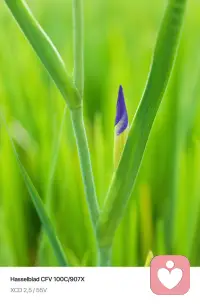 情绪从来都不是负担，压抑才是。
如果你正被焦虑、委屈、迷茫困住，不知道该和谁讲，
我愿意做你安全的倾听者，陪你梳理，陪你慢慢释怀。配图