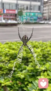 傍晚的风，吹走了光，也吹来了心事。
生活总有扛不住的瞬间，没关系，你可以停下来。
我用专业与耐心，接住你的每一句情绪。
不打扰、不打断、深度共情。
傍晚了，来我说说话，让心慢一点。配图