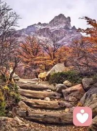 站在巴塔哥尼亚的雪山旷野间，更懂人心的起伏与迷茫。一位女性来访者说起家人忽然疏离，满心委屈无处安放，又对未来的生活充满焦虑，盼着好运却不知何时到来。刚开口便疲惫失语，不是真的困，是情绪太重，不敢再往前触碰。愿每一份难言的脆弱，都能被温柔接住。配图