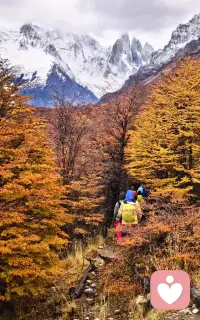 站在巴塔哥尼亚的雪山旷野间，更懂人心的起伏与迷茫。一位女性来访者说起家人忽然疏离，满心委屈无处安放，又对未来的生活充满焦虑，盼着好运却不知何时到来。刚开口便疲惫失语，不是真的困，是情绪太重，不敢再往前触碰。愿每一份难言的脆弱，都能被温柔接住。配图