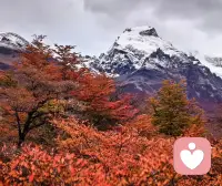 站在巴塔哥尼亚的雪山旷野间，更懂人心的起伏与迷茫。一位女性来访者说起家人忽然疏离，满心委屈无处安放，又对未来的生活充满焦虑，盼着好运却不知何时到来。刚开口便疲惫失语，不是真的困，是情绪太重，不敢再往前触碰。愿每一份难言的脆弱，都能被温柔接住。配图