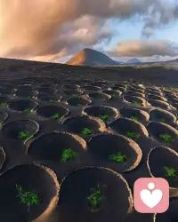 像散落大西洋的火山岛，家庭本是滋养心灵的根。与父母的情感链接，是我们一生安全感的来源。童年缺爱，成年后易陷自我怀疑、讨好内耗，不懂爱己也难爱人。我是倾听师，愿做你情绪的避风港，陪你梳理原生家庭的结，修补亲子裂痕，找回被爱的底气，让你在人生路上，不再孤单硬扛。配图