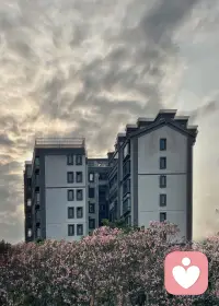 🌿 关于遇见与陪伴

     有时候，最动人的风景，不是远方的山海，而是身边有人愿意听你慢慢说话。
     就像此刻，我想做一个安静的容器，接住你的疲惫、你的不安，也接住你生活里那些细碎的温柔。
    我们聊天气、聊花开、聊那些不为人知的小欢喜，也聊那些想倾诉的心事。
    不用急着赶路，也不用刻意坚强，在这里，你可以完全放松，做最真实的自己。
     愿所有相遇，都能成为你心里的一束光，照亮往后的每一段日常。配图