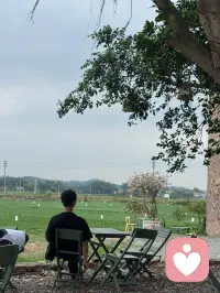 今天的工作地点，从小小的咨询室，挪到了田野边的石头房子旁。

风吹过稻田的声音，比空调外机安静得多。

我坐在树荫下，听着风，也听着那些藏在生活缝隙里的情绪。

有人说，咨询师像树洞，可今天我觉得，我们更像这片田野。
不评判，不催促，只是安安静静地存在着，让那些无处安放的情绪，有个地方可以落脚。

天色慢慢暗下来，今天的倾听就到这里啦。
世界继续热闹，我先在这片温柔里，歇一歇。🌾