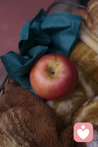 🍎 绒毯托着苹果，我托着你的情绪。
不评判，不敷衍，做你最安心的情绪树洞。
今日份治愈：好好生活，好好被听。
#倾听师 #治愈日常 #温柔相伴