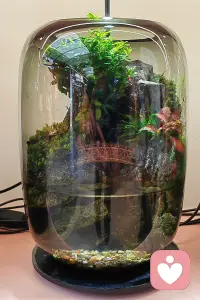 情绪就像这个玻璃罐里的盆景，看似被好好包裹着，精致又安稳，可只有自己知道，里面的潮湿、憋闷和小心翼翼，外人看不见。别硬撑着维持完美，在这里，你可以不用一直“看起来很好”。配图