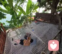 今天躲进我的秘密基地，和江水、柴火、烟火气待在一起。
网兜摇摇晃晃，锅里咕嘟咕嘟，烤肉滋滋作响，所有紧绷的神经，都被自然慢慢揉开了。
很多时候，我们都需要这样一个不用说话、不用扮演谁的角落，只做自己，只被风与烟火接住。
如果你也累了，不妨慢下来，听听自己的心跳，也听听风里的声音。✨配图