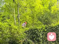 漫山的绿，裹着春日的风，指尖掠过茶青的瞬间，好像也接住了山野的温柔。
看着茶农的身影隐在林间，忽然懂了：慢下来的时光里，每一片芽叶都藏着治愈的力量。
愿你也能在忙碌里，寻得片刻心安。配图