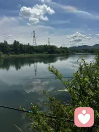 还是这个早晨，你又起来了，还像往常一样。
守着一竿平静，看云影在水面慢慢飘走。
不用急着回应谁，不用赶着往前走。
就安安静静待一会儿，让风、让水、让这片刻的松弛，接住你所有的疲惫。配图