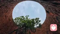 红砖围成的穹顶之下，树依然朝着天空生长。
就像我们的心，哪怕困在逼仄的困境里，也藏着向阳的本能。
不用逼自己立刻长出翅膀，只要记得朝着光的方向，慢慢舒展就好✨