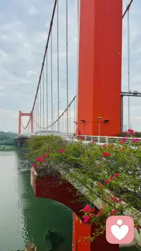 站在红桥看江水缓缓流淌，忽然懂得，人生很多心结，都需要慢慢释怀。
过往的敏感与内耗，如同桥上随风的花，不必执着纠结。接纳所有遗憾，学会和自己和解。往后放平心态，慢慢自愈，安稳度日。配图