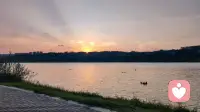 清晨的江面，还留着昨日落日温柔的余温。
看着波光里自在的身影，忽然懂得，人总需要这样一处可以安放情绪的水域。
生活里太多紧绷与内耗，我们忙着赶路，却忘了给自己留片刻喘息。
如果你心里积压着无处诉说的心事，被焦虑、迷茫困住，不妨停下来，找个人好好聊一聊。
我是听风叙语，做你安静的倾听者，接住你的情绪，陪你慢慢梳理，在喧嚣里找回内心的平和。配图