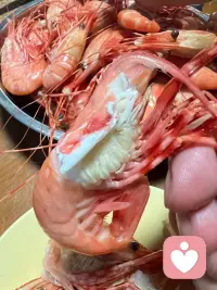 傍晚的烟火气，是海鲜带给我的温柔治愈✨
一盘BC斑点虾，肥嫩饱满，搭配鲜活生蚝，舌尖鲜意漫开，卸下倾听了一天情绪的疲惫。

做倾听师的日子，见过太多迷茫与纠结，也接住过无数细碎欢喜。
美食是自我的慰藉，也想把这份暖意传递给屏幕前的你。
前路纵有风雨坎坷，亦会偶遇温柔欢喜。
无论此刻你是困顿，还是正感受着小确幸，都欢迎来聊聊，我在这里认真倾听🌊配图