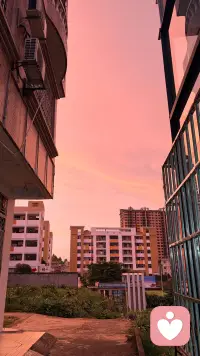 这个是色温太美了配图