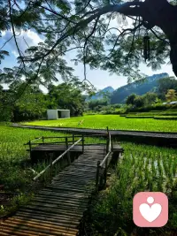 骑行与倾听｜做别人的情绪树洞，也给自己留一片山野

盛夏的山路骑行，热浪裹挟着汗水浸透衣衫，车轮碾过绿意，也碾散心底积攒的疲惫。

做倾听师的日子，总在承接他人的焦虑与内耗，把温柔留给来访者，却常常忽略自己。

挥汗前行的过程，是独属于我的情绪出口。在风与山林间卸下紧绷，在爬坡喘息里接纳所有情绪。先安顿好自己，才能带着更平和的力量，去接住每一份托付。

#倾听师日常 #骑行疗愈配图