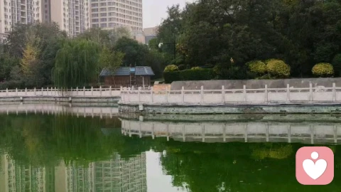 吵架不是感情终点,学会修复才是婚姻必修课