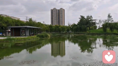 无性婚姻无声内耗：多少中年夫妻，在分房沉默里自我消耗