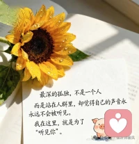 别硬撑了，我听你说。成年人的委屈，从来都是静音模式。你不用假装开心，不用事事懂事，不用硬撑坚强。在这里，你可以放心做自己。配图