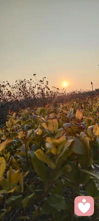 无论你的困扰是什么，
我都愿意用心倾听。
尊重、理解、接纳、保密，
这是我对每一位倾诉者的承诺。
让我们一起在倾听中
找寻答案，共同成长
一起来！配图