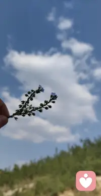 这里是一个没有评判、没有压力的空间，
你可以放心分享那些藏在心底的情绪：
无论是生活的烦恼、感情的困惑，
还是那些说不出口的小秘密，
我都会在这里，耐心的倾听🌹🌹🌹配图