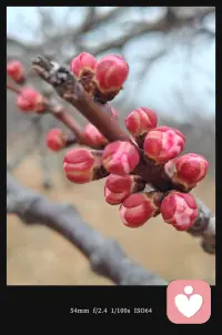 我要你知道
在这个世界上
总有一个人是等着你的
不管在什么时候
不管在什么地方
反正你知道，总有这么个人配图